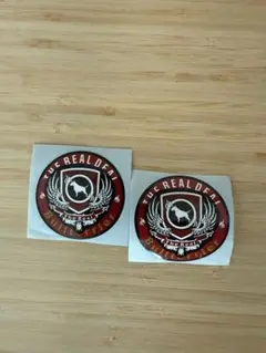 BULLTERRIER BJJ 2枚セット