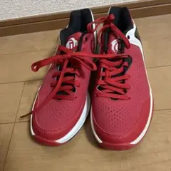 D ROSE ENGLEWOOD III 　デリック・ローズ　24.5cm