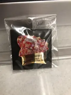 新品未開封大阪関西万博　飯田ホールディングス&大阪公立大学限定ピンバッジ