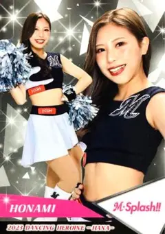 Item thumbnail for item 04fa5e8c-d322-477c-b4ca-2b6c41342ddc