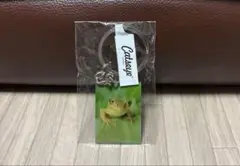 かえるのキーホルダー