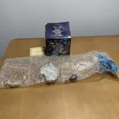 新品　ドラゴンクエスト　立体モンスター図鑑 ギガンテス