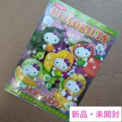 新品・未使用・未開封♥ハローキティ　ご当地キティ　北海道限定　クリアファイル