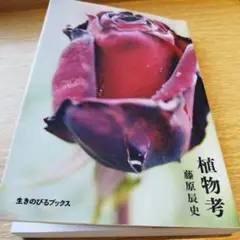 植物考 藤原辰史 2023年の4刷 232P SC カバーにこまかなあとあり