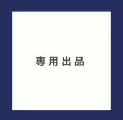 専用出品