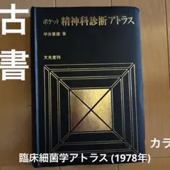 【希少】ポケット 精神科診断アトラス