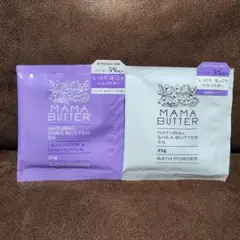 Item thumbnail for item 745cb29e-7881-4feb-b383-f3f3e00b9157