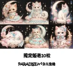 PARADISEパネル生地　 限定販売10枚　猫柄　P88