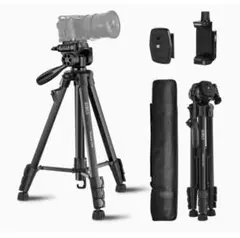 Item thumbnail for item b69c628f-25c1-4e7b-a5ed-808ddb5c9223