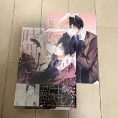 慧　溺愛の時間です。初版本　アニメイト限定4pリーフレット付