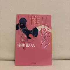 推し、燃ゆ