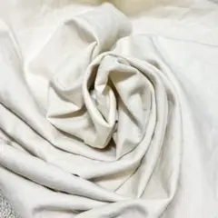★生成りコットン厚手生地　150cm幅x84cm