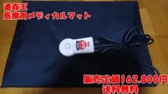 2025年最新】日だまり 遠赤王の人気アイテム - メルカリ
