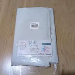 Item thumbnail for item 0693febd-634e-4d96-b919-62f947a47601