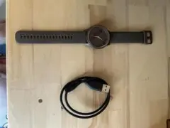 【スマートウォッチ】GARMIN vivomove sport