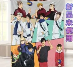 ★イチオシ【新品未使用】ハイキュー ブランケット80×120センチ