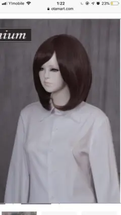 Item thumbnail for item 210e86e9-16d3-41e7-8bca-30c994821ecc