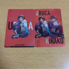 CRチップス ウルカとキナコ
