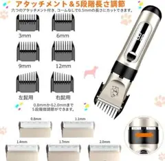 Item thumbnail for item ee2323a4-b6ad-4a91-a83d-31a538dbaa9f