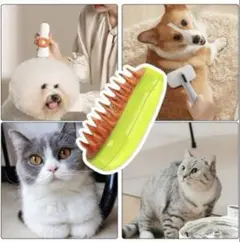 Item thumbnail for item 9b3c57e6-3ded-4d6a-a15b-74d15b97a2b8
