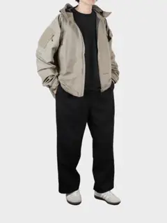 Vainl archive marmotマウンテンパーカー　gore tex