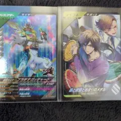 【匿名配送】器と欲望と始まりのメダル　プラチナガッチャード