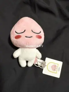 カカオフレンズ ぬいぐるみ 約15cm