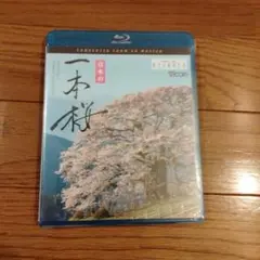 【BD】日本の一本桜 4K撮影作品