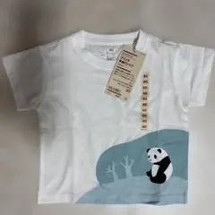 無印良品動物Tシャツ 80サイズ