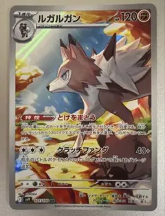 ポケモンカード　ルガルガン　AR