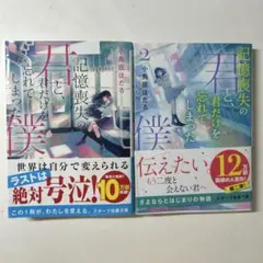 小鳥居ほたる 記憶喪失の君と、君だけを忘れてしまった僕。