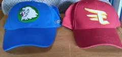 埼玉西武ライオンズと楽天イーグルスのキャップ