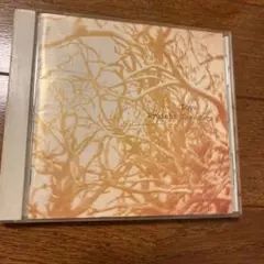 Ryuichi Kawamura Love