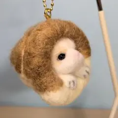 羊毛フェルト　猫　コルネコ　エキゾチックショートヘア　バッグチャーム