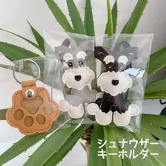 Item thumbnail for item 656a767b-124c-4b3d-aad8-f31718177c84