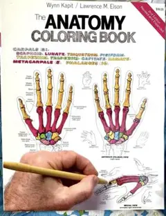 美品英語版 「The Anatomy Coloring Book」解剖学塗り絵
