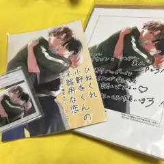 ひねくれ小野寺くんの不器用な恋クリアファイル