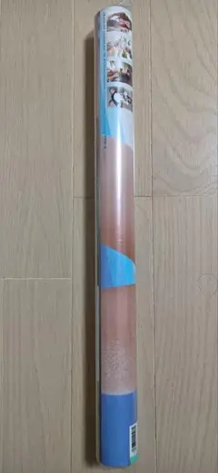 Item thumbnail for item 748207e1-b977-4c16-bc4b-54abf4908f54