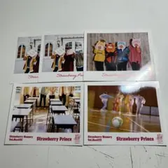 すとぷり 全員 ブロマイド 実写 まとめ売り