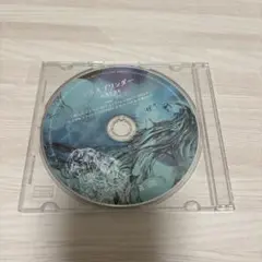 ハルカミライ センスオブワンダー