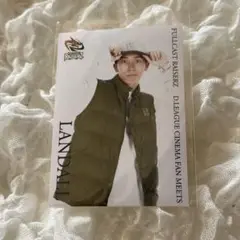 LANDALL フォト