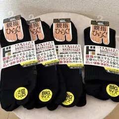 Item thumbnail for item 3016b18b-8152-485a-a453-afa03a26e1d6