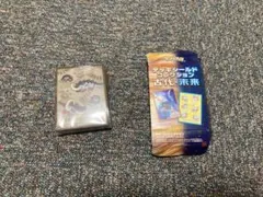 ポケモンカードデッキシールドコレクション　イダイナキバ＆テツノワダチ