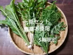 七草セット 農薬不使用