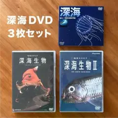 深海 深海生物 深海魚 DVD 3枚セット
