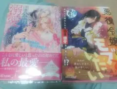 私異世界転生してメイドの仕事に邁進したら、…& 悪役令嬢モブたい 2冊セット
