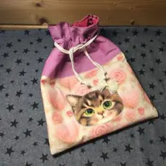 コヤンイサムチョン巾着袋少し大きめ★輸入立体生地リトルサンダーちゃん