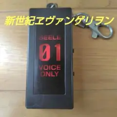 VOICE ONLY TATSUMI キーホルダー