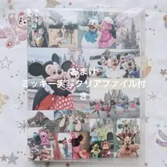 ディズニー 実写 コレクションホルダー