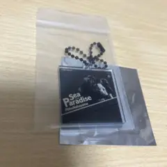 中山美穂　Sea Paradise アクリルキーホルダー